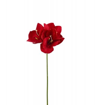 Amaryllis Röd 63cm, Konstgjord