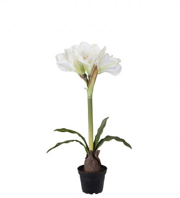 Amaryllis Vit 50cm, Konstgjord