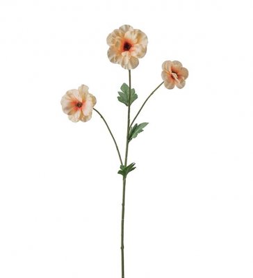 Japansk Ranuncel Persika 62cm