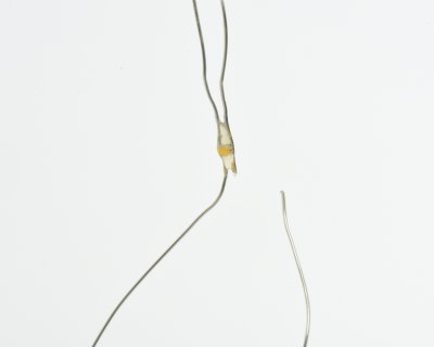 Ljusslinga Bunt Micro LED 320st 100cm