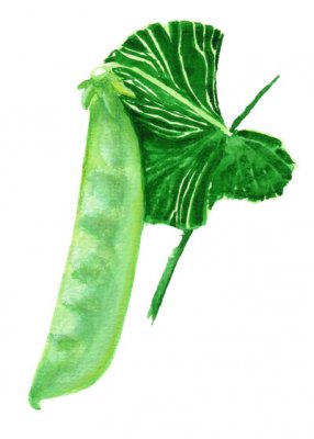Sockerärt Låg Norli