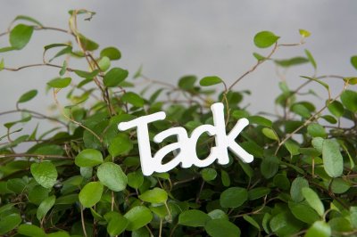 Tack stick Vit 5x3cm