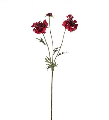 Scabiosa Röd 65cm, Konstgjord