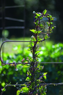 Spaljé Elements 140cm