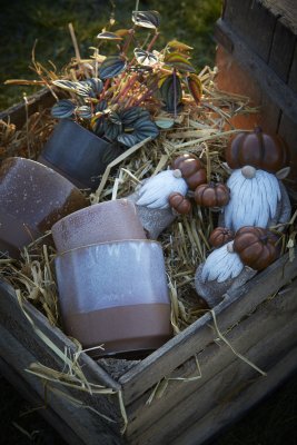 Vätte Pumpa Brun 14x13x20cm