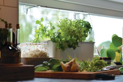 Hydroponisk odling Harvy Startkit Vit Liten