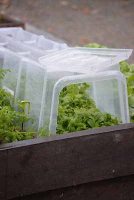 Odlingstunnel 105x39x30cm