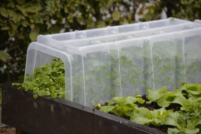 Odlingstunnel 105x39x30cm