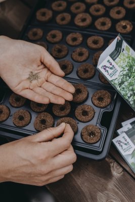 Odlingsplugg 14-pack