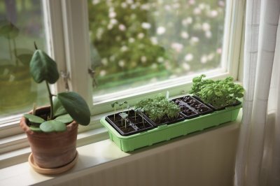 Drivhus, Mini-, Window, 24 krukor