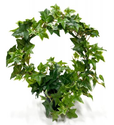 Murgröna Båge Grön 35cm, Konstgjord