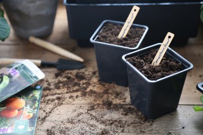 Kruka, Plast-, Fyrkantig, 7 cm, 25-pack