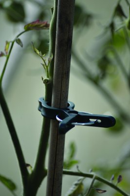 Plantclips Strong 10-pack