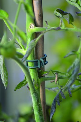 Plantclips Strong 12-pack