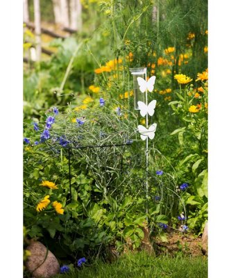 Regnmätare Vit Fjäril