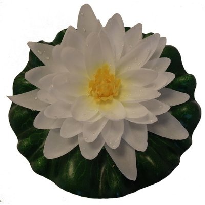 Flytande Näckros Vit 15cm