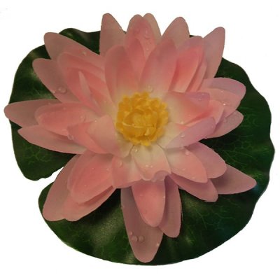 Flytande Näckros Rosa 15cm