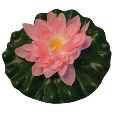 Flytande Näckros Rosa 20cm