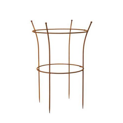 Pionstöd Ethel Rost