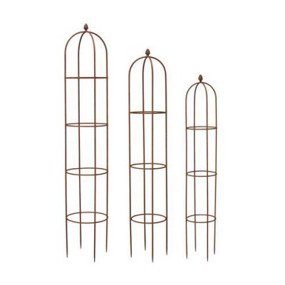 Växtstöd Rost Ethel