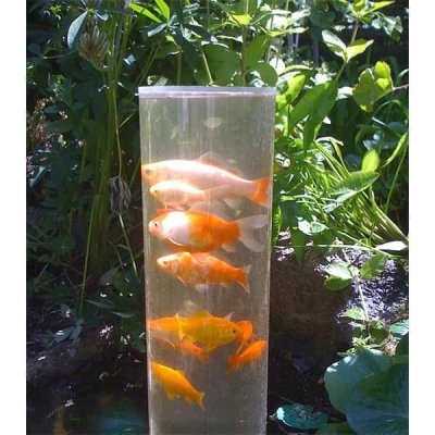 Fisktorn 50cm + sockel ca 20cm