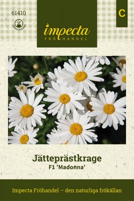 Prästkrage, Jätte-, F1 'Madonna'