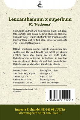 Prästkrage, Jätte-, F1 'Madonna'