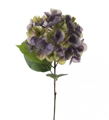 Hortensia Blå/grön 45cm