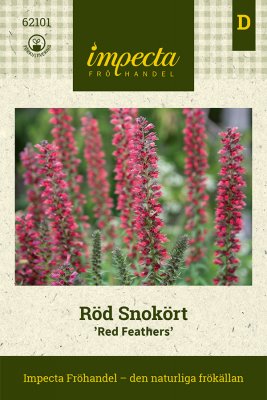 Röd Snokört Red Feathers