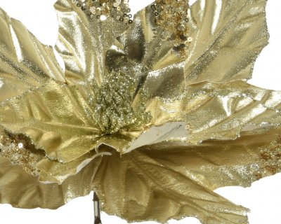 Julstjärneblomma Guld 5x30cm