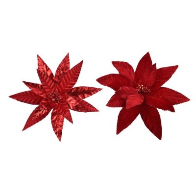 Julstjärneblomma Röd Mix D30-33cm