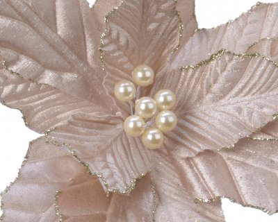 Julstjärneblomma 4x30cm