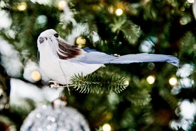 Fågel clip 8x11x5cm 2-pack