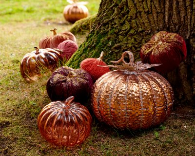 Pumpa Brun 21x19cm