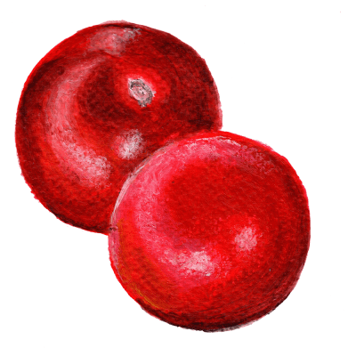 Plommontomat Black Ethiopian