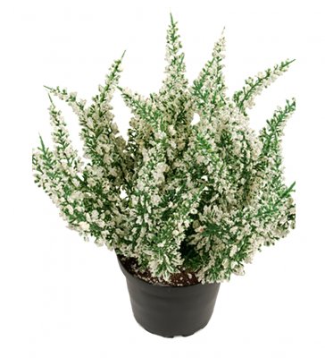 Ljung Vit 28cm, Konstgjord