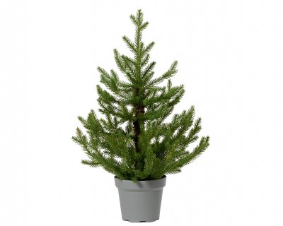 Konstgran Norway Grön 75cm
