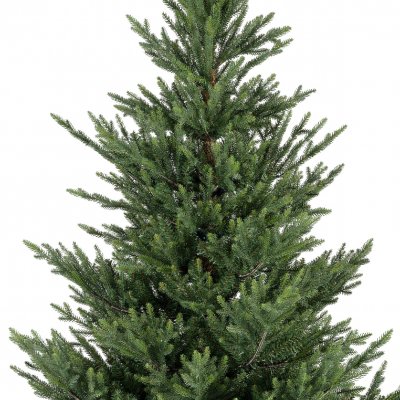 Konstgran / Julgran Norway Spruce 150cm