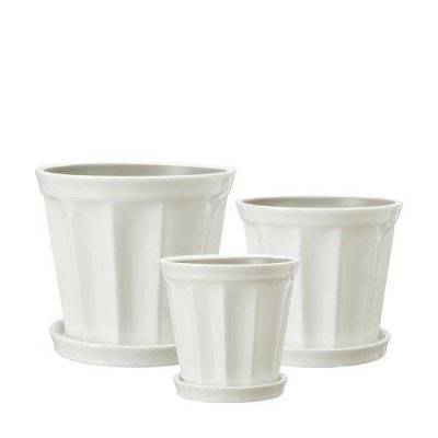 Kruka Felina med Fat Vit