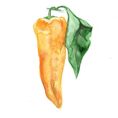 Spetspaprika Corno Giallo