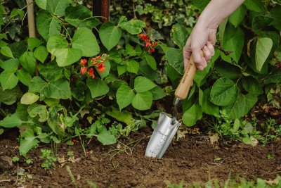 Handspade