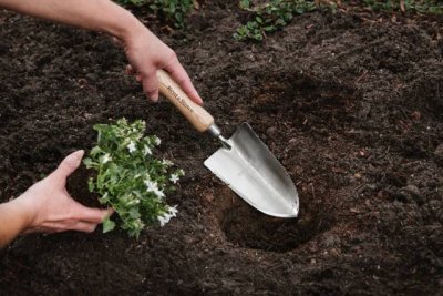 Handspade