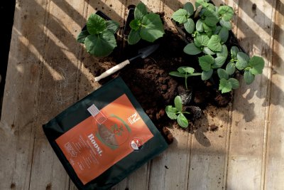 Protect Trichoderma 500ml