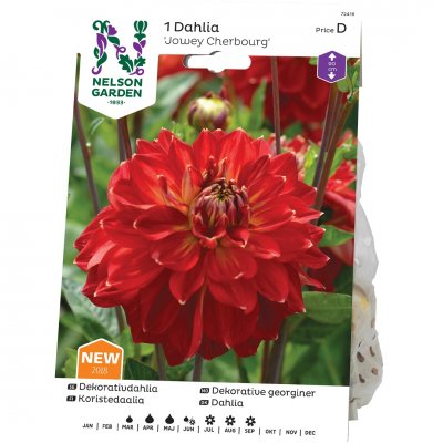 Dahlia Hög Dekorativ Jowey Cherbourg