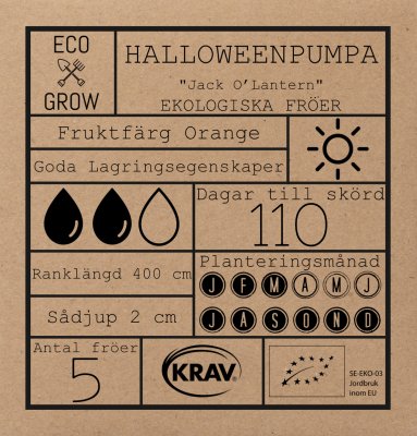 Pumpa, Halloween-, Jack O Lantern, Ekologisk