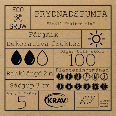 Prydnadspumpa Small Fruited Mix, Ekologisk
