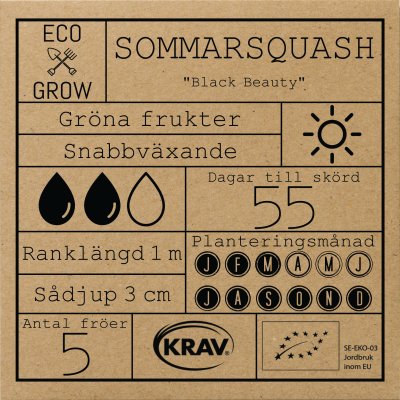 Squash, Black Beauty, Ekologisk