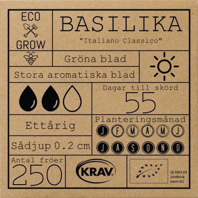 Basilika, Storbladig, Italiano Classico, Ekologisk