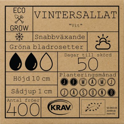 Sallat, Vinter-, Vit, Ekologisk