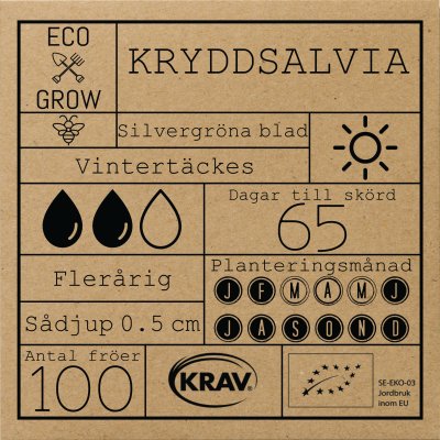 Salvia, Krydd-, Ekologisk